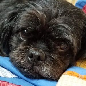 Meet your Posher, Arlene